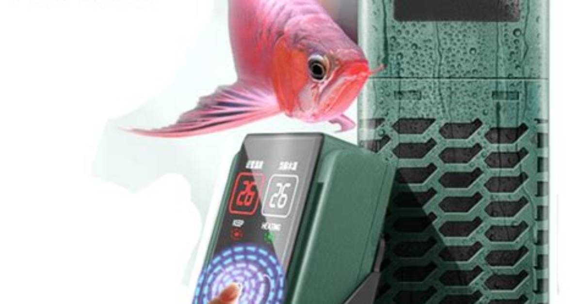 Do All Fish Need a Heater