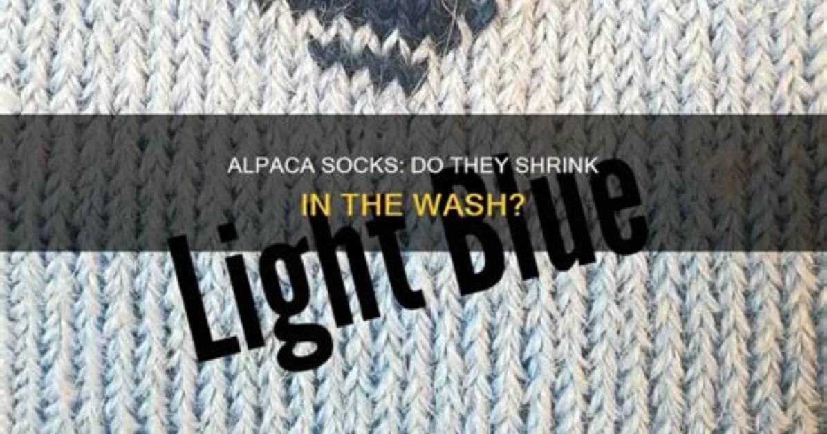 Do Alpaca Sweaters Shrink