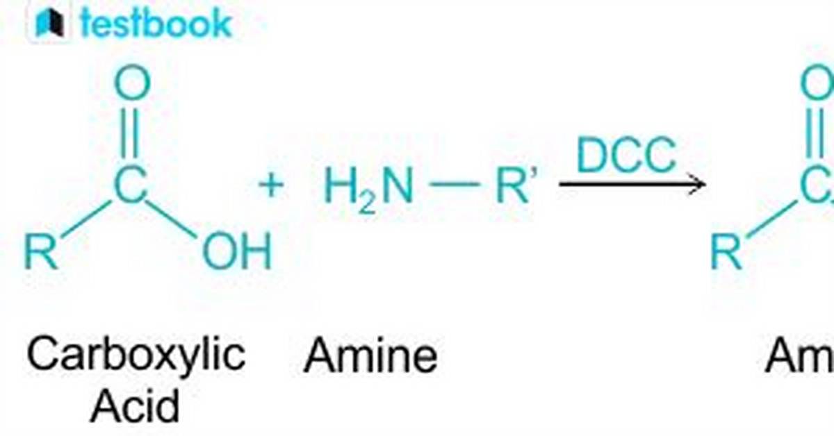Do Amines React with Carboxylic Acids?