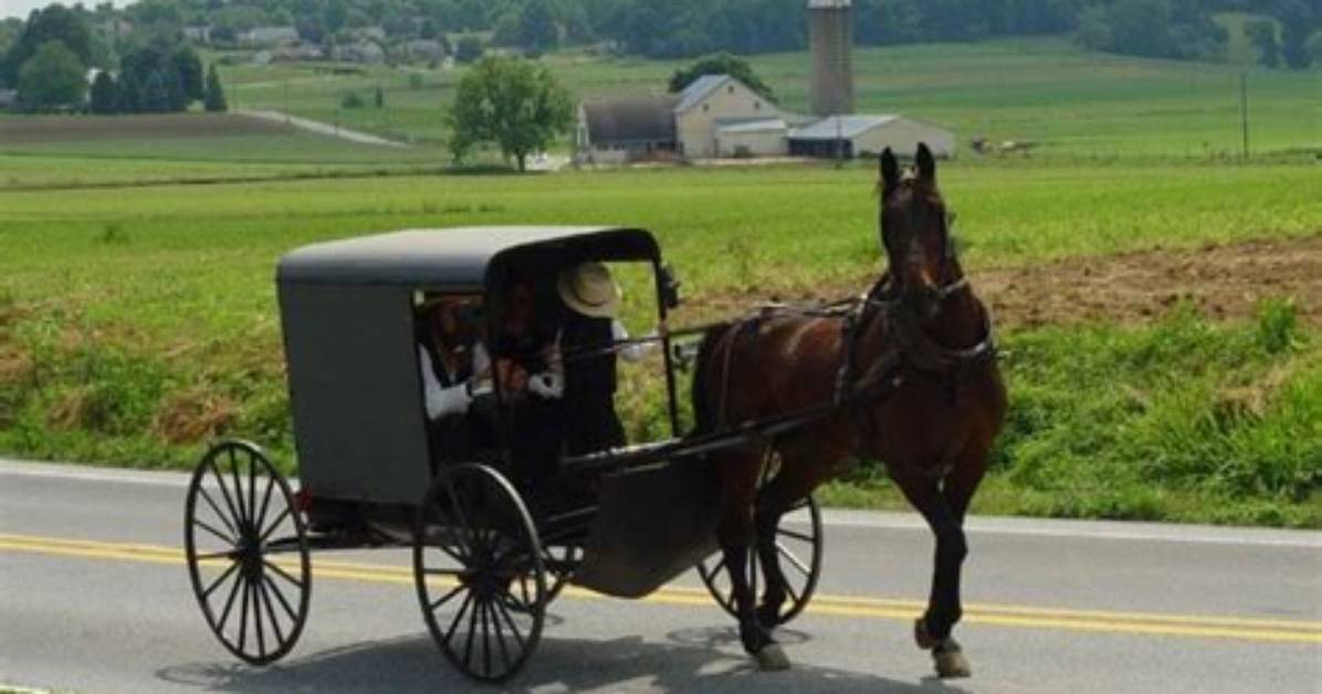 Do Amish Allow Tourists
