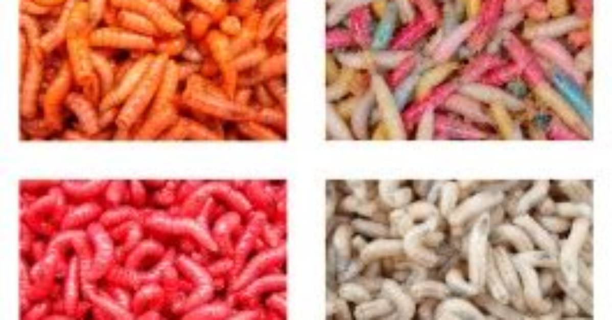 Do Angling Direct Sell Maggots?