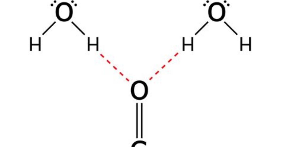 Do Anhydrides Hydrogen Bond?