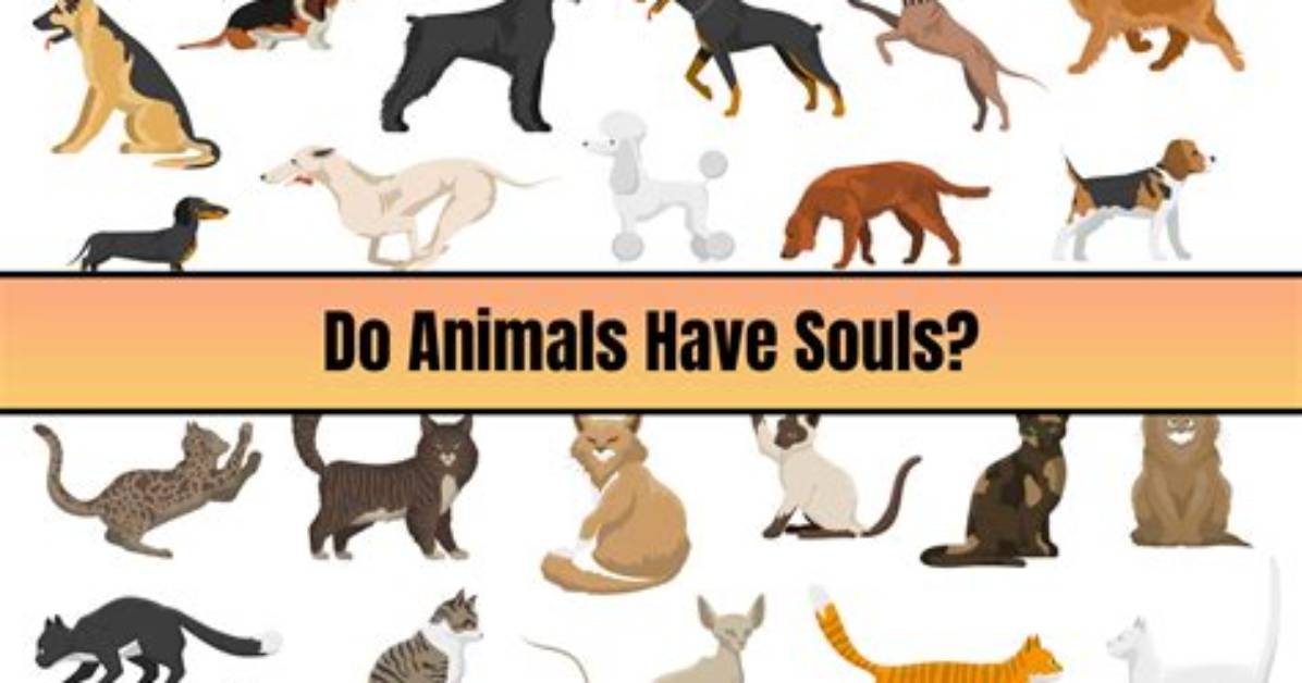 Do Animals Have Souls?