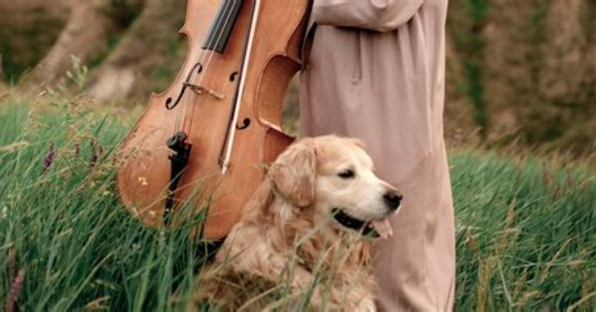 Do Animals Like Classical Music?