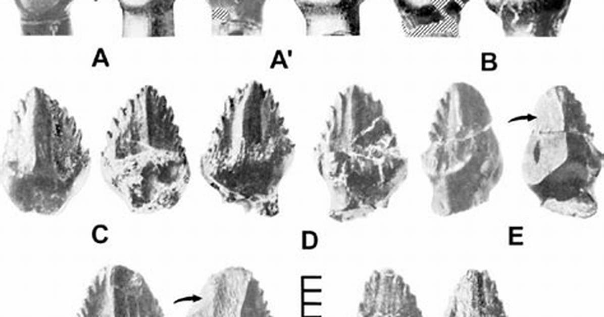 Do Ankylosaurus Have Teeth?