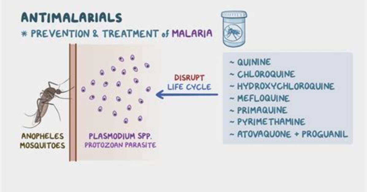 Do Antimalarials Prevent Malaria?