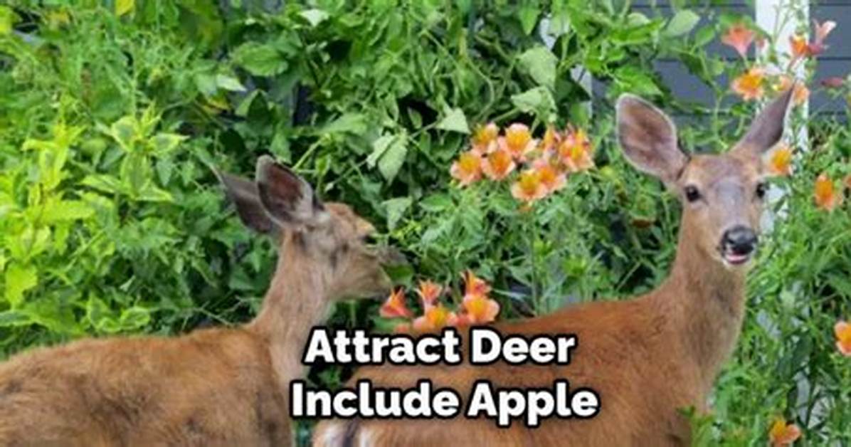 Do Apple Trees Attract Deer
