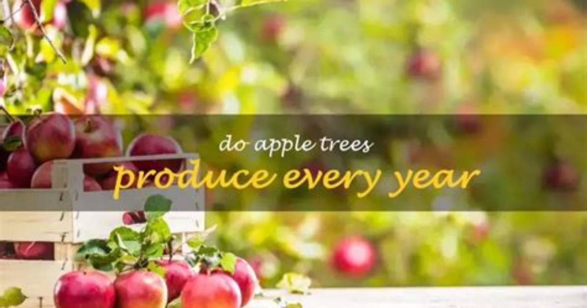 Do Apple Trees Produce Fruit Every Year?