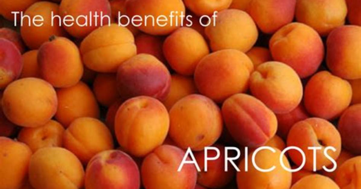 Do Apricots Have Fiber?