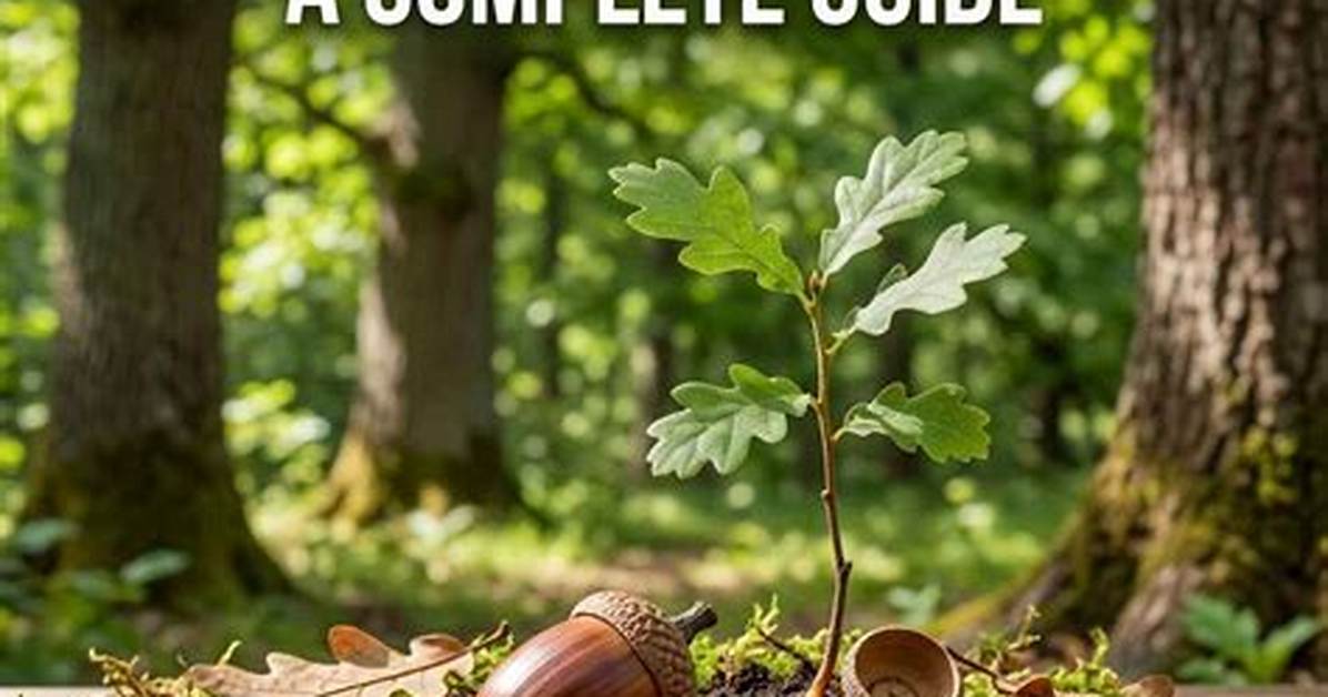 Do Ashes Help Trees Grow