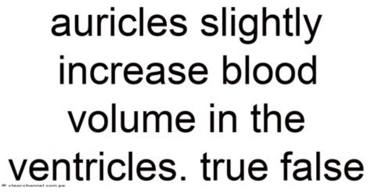 Do Auricles Increase Ventricular Volume?