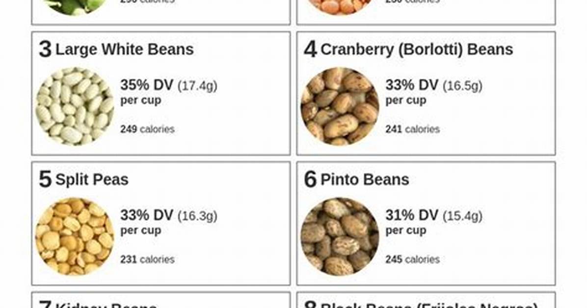 Do Baked Beans Have Protein?