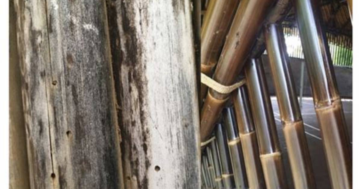 Do Bamboo Sinks Last