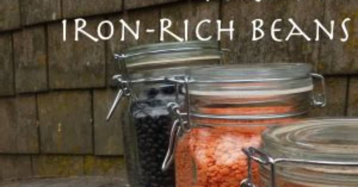 Do Beans Have Iron?