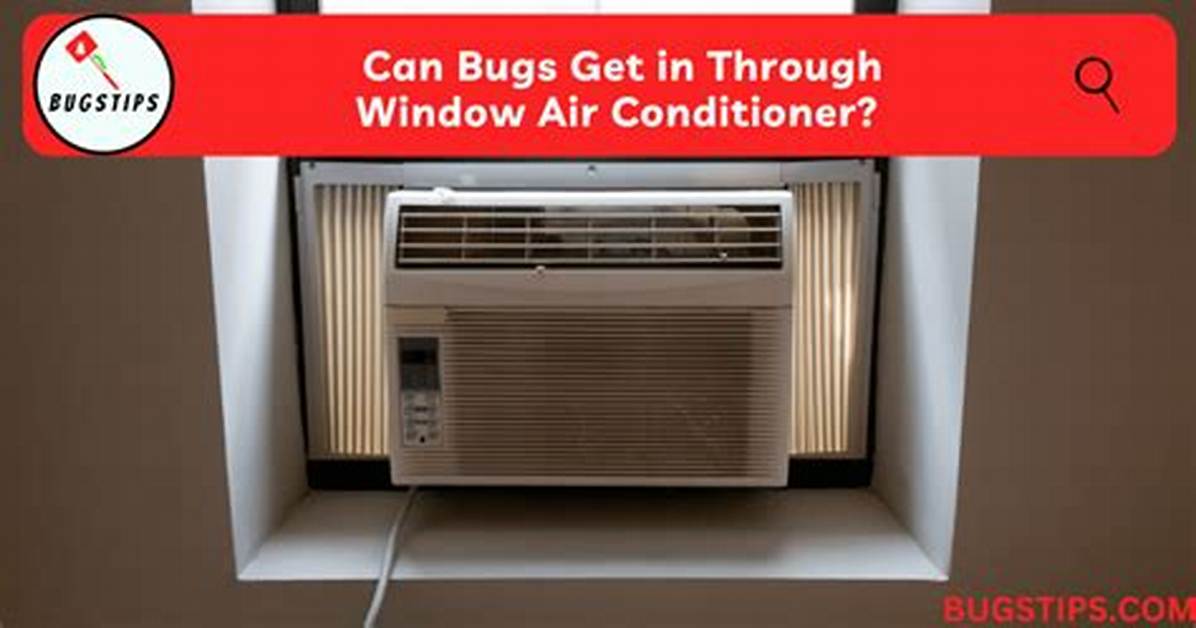 Do Bed Bugs Live in Window Air Conditioners