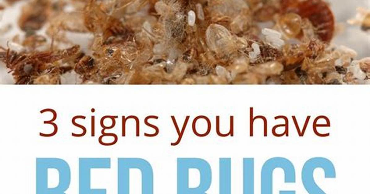 Do Bed Bugs Vibrate?
