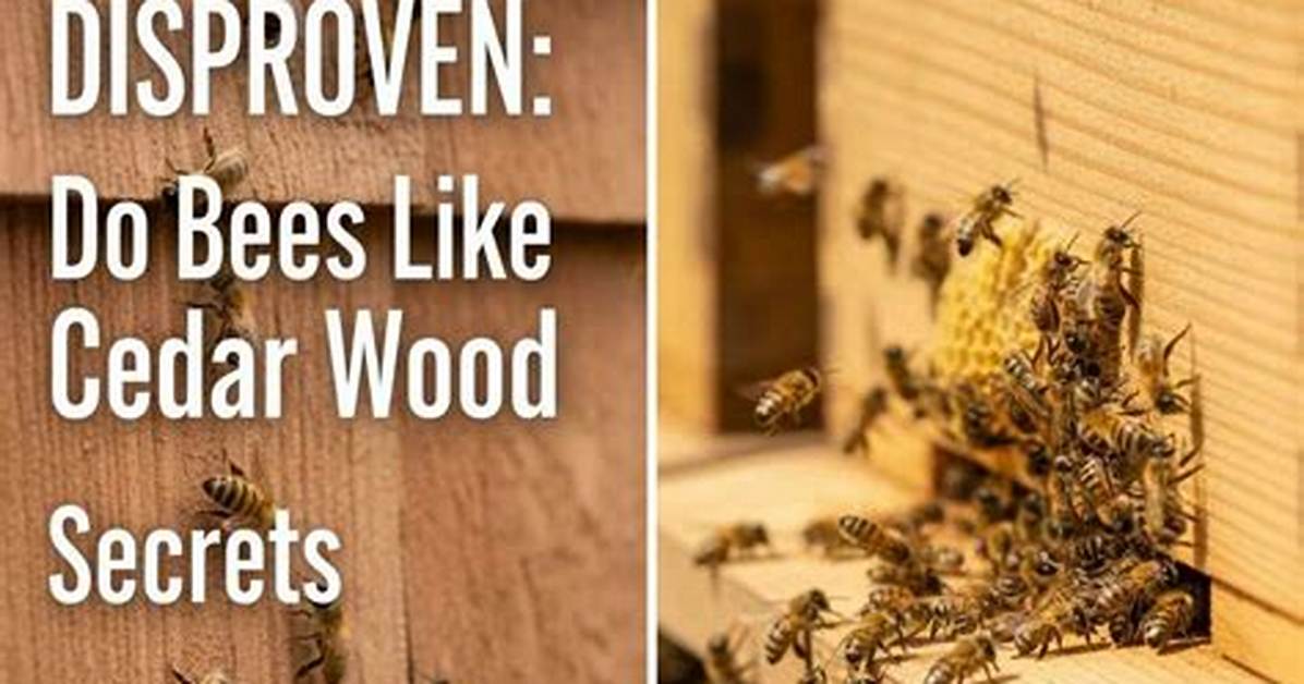 Do Bees Like Corydalis?