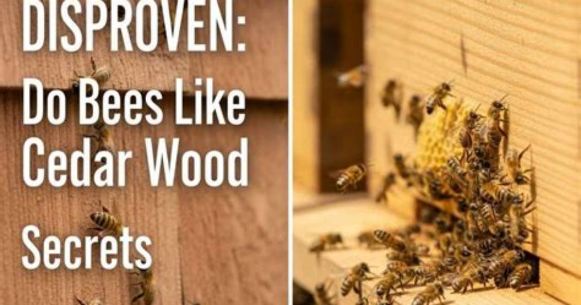 Do Bees Like Ribes?