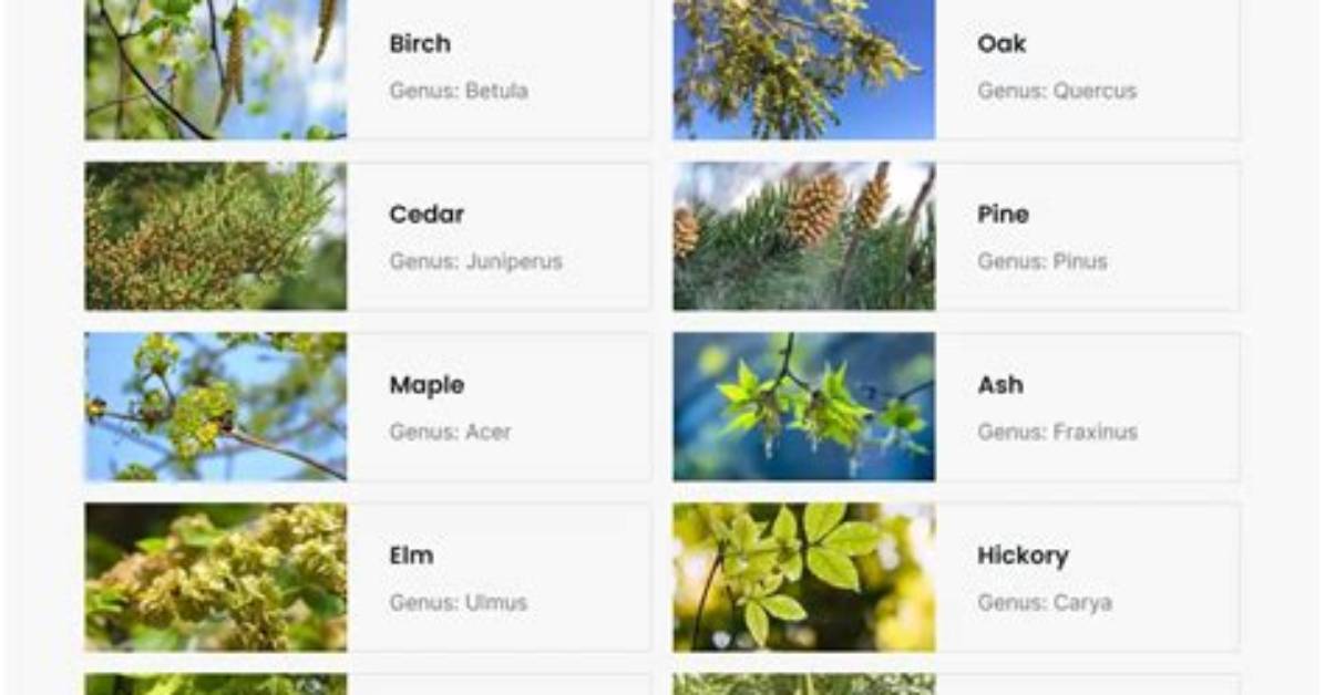 Do Bees Like Tree Pollen