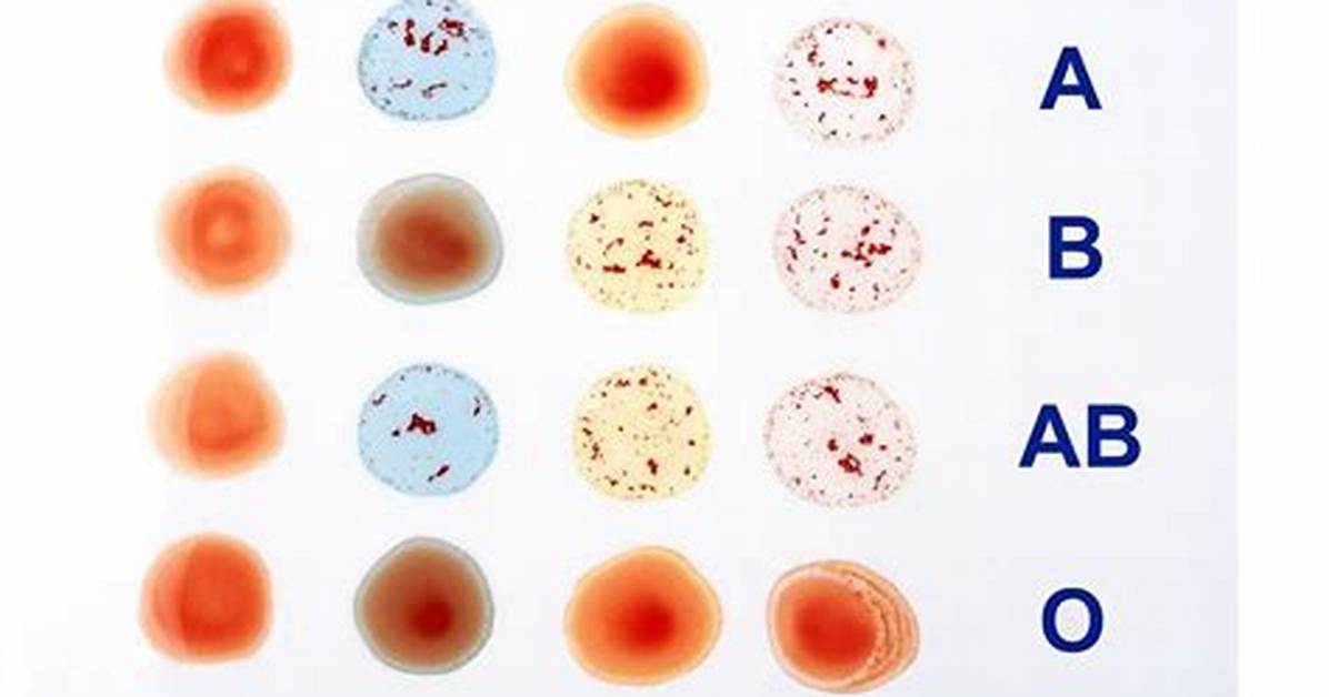 Do Blood Types Taste Different?