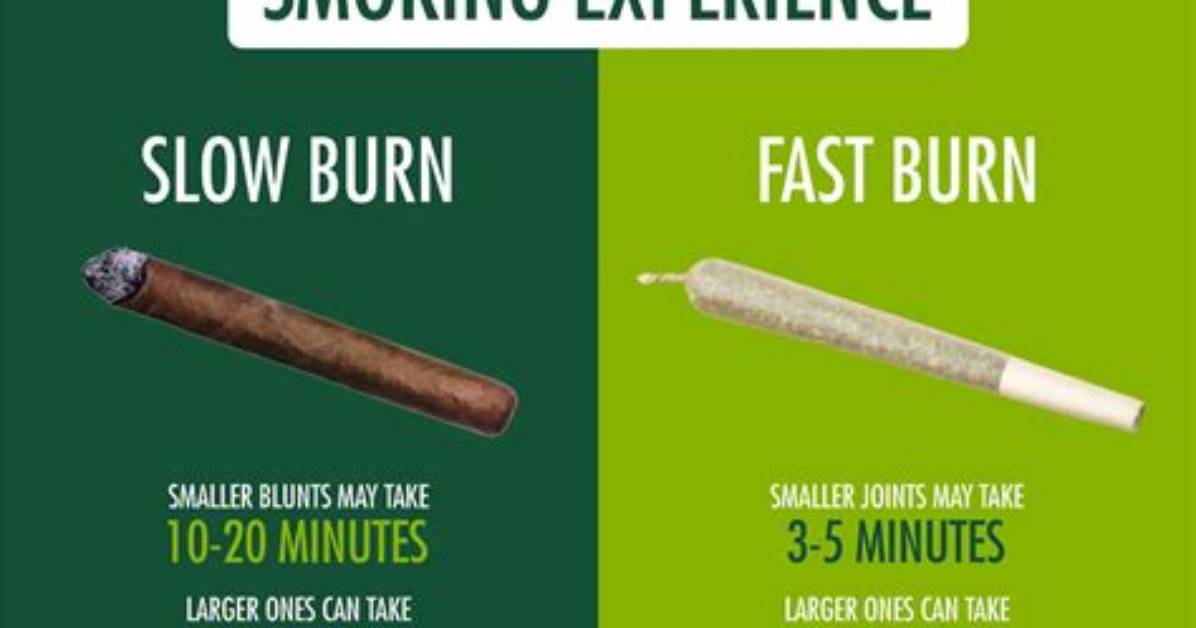 Do Blunts or Joints Burn Slower?