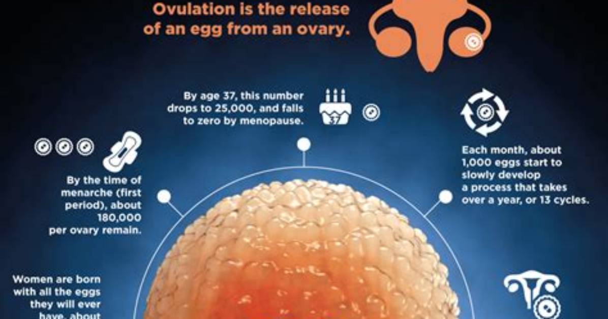 Do Breakouts Occur During Ovulation?