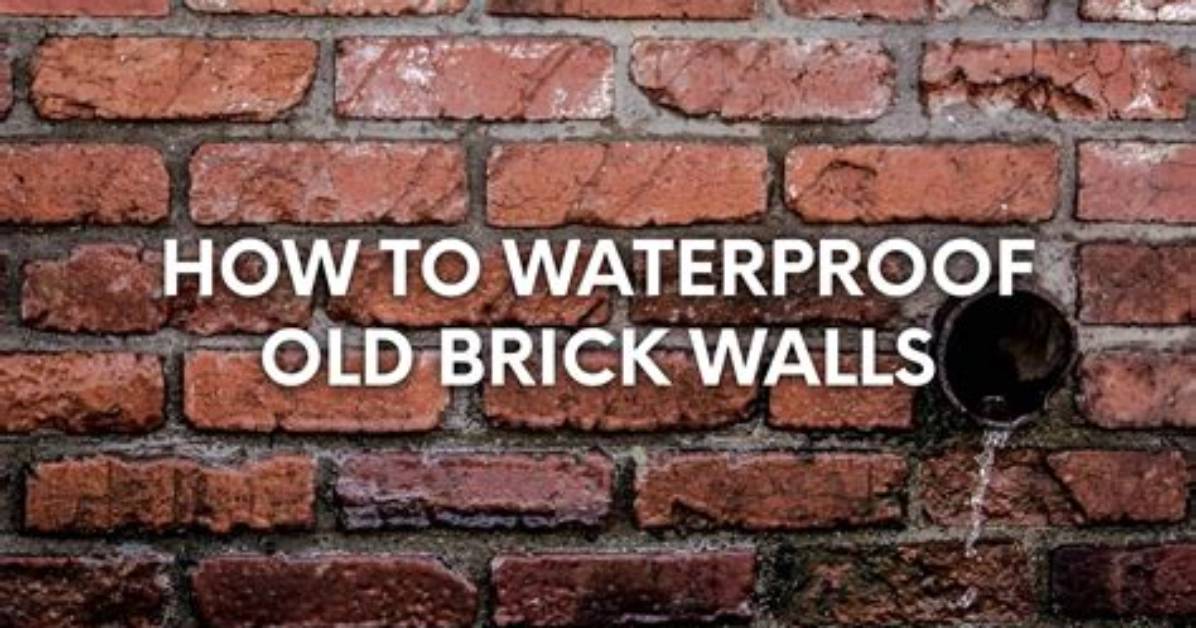 Do Brick Walls Absorb Moisture?