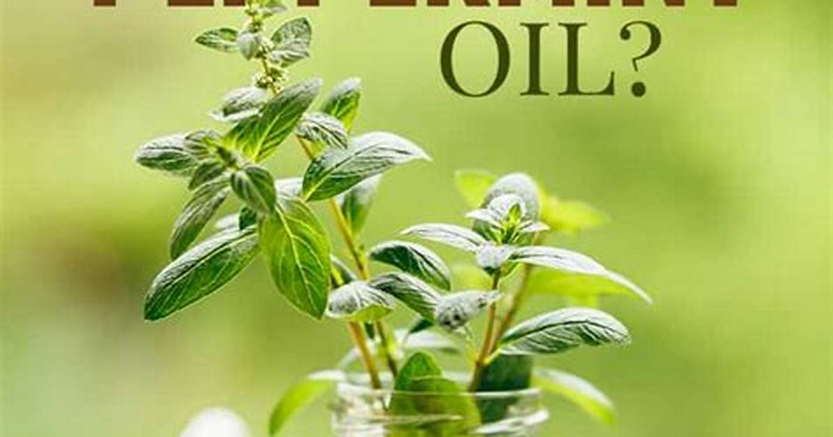 Do Bugs Hate Peppermint Oil