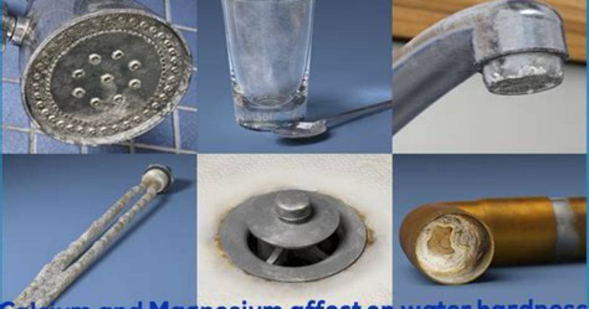 Do Calcium Dissolve in Water?