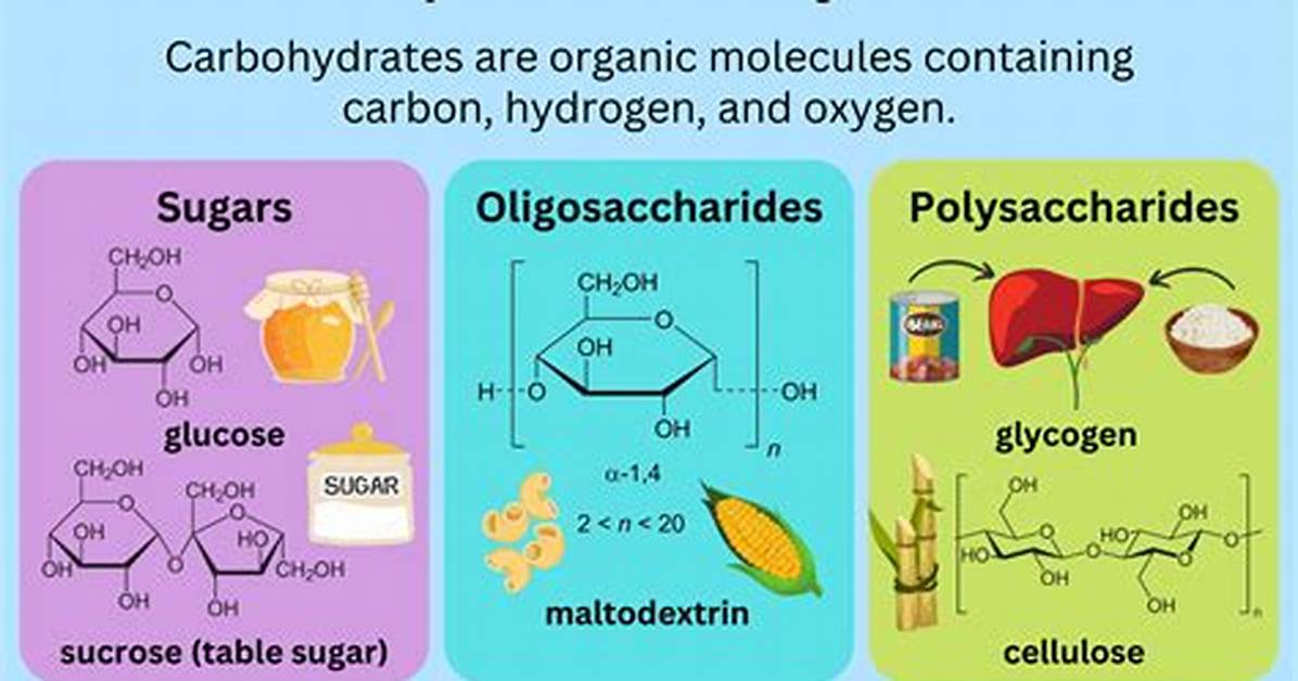 Do Carbohydrates Use Hydrogen Bonds