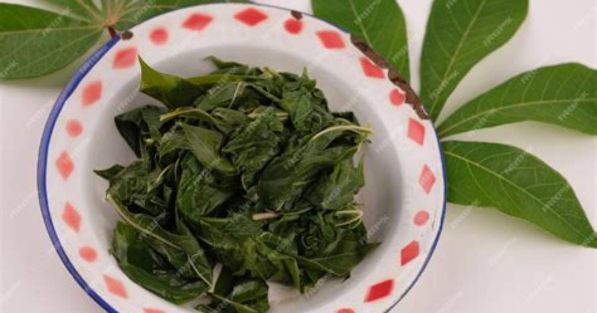 Do Cassava Leaves Contain Cyanide?