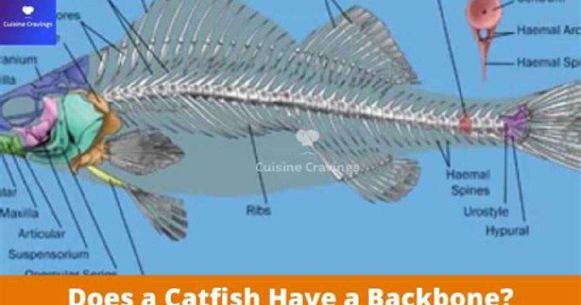 Do Catfish Fillets Have Bones?