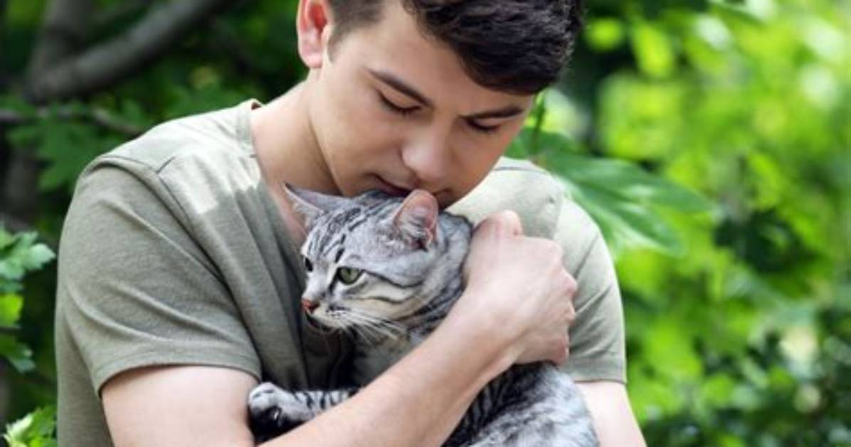 Do Cats Hug Humans?