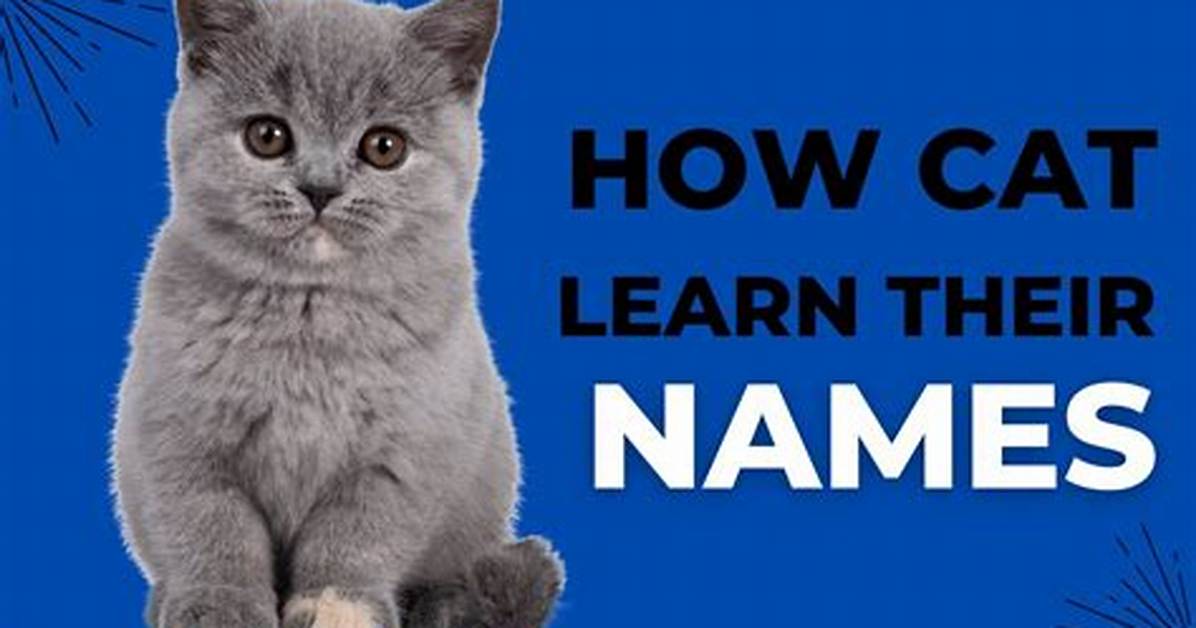 Do Cats Learn Their Name?