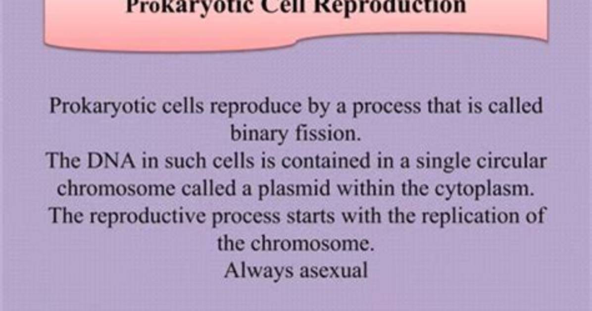 Do Cells Always Reproduce