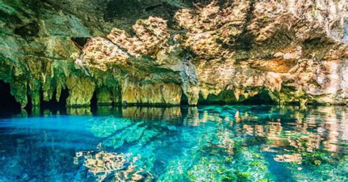 Do Cenotes Have Fish?