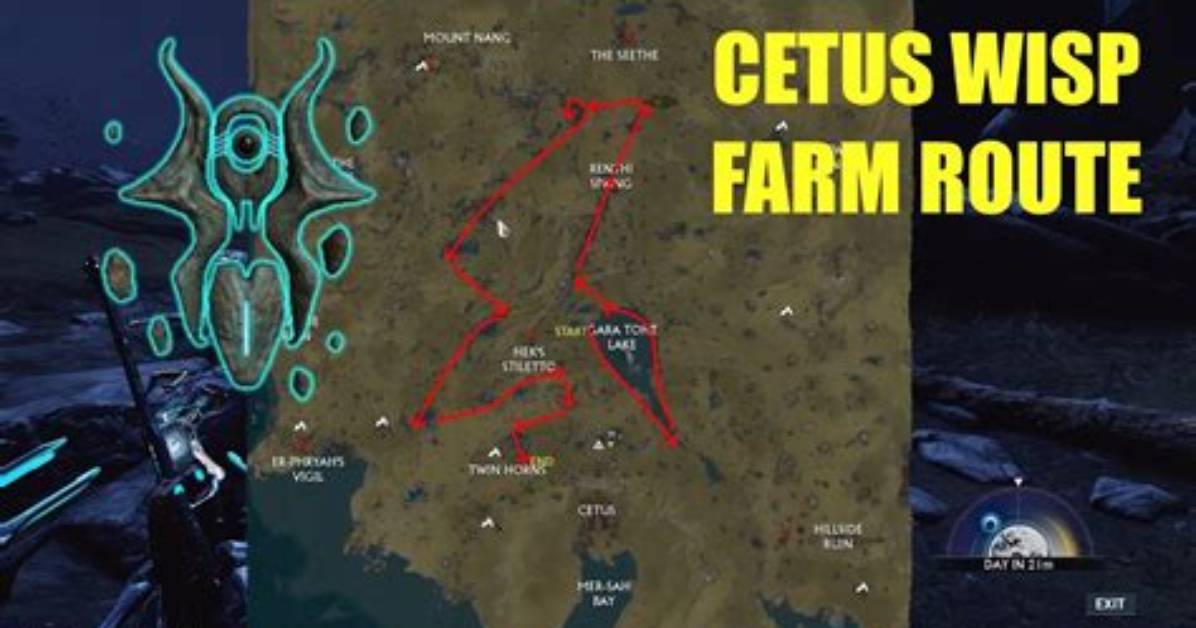 Do Cetus Wisps Spawn at Day?