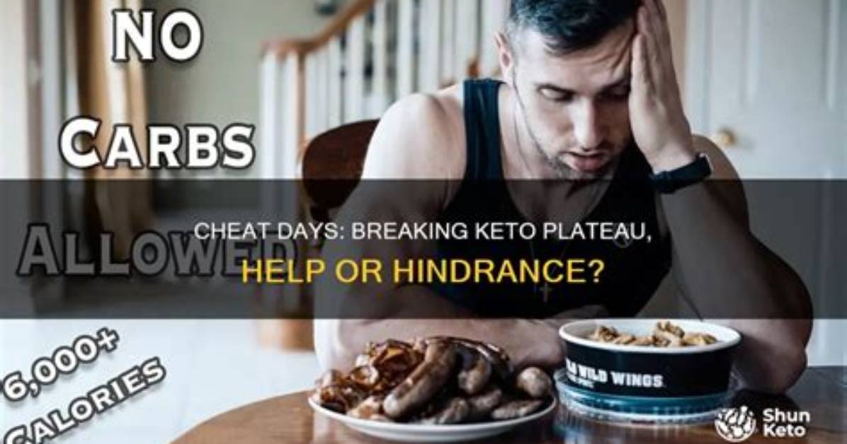 Do Cheat Days Help Plateau?