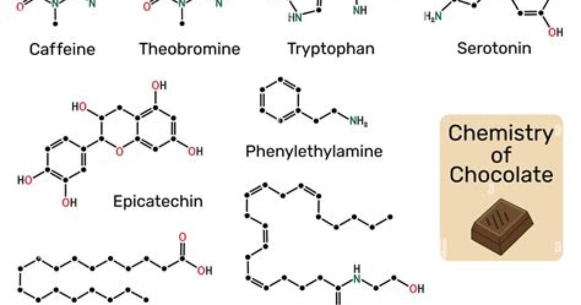 Do Chocolate Contain Anandamide?