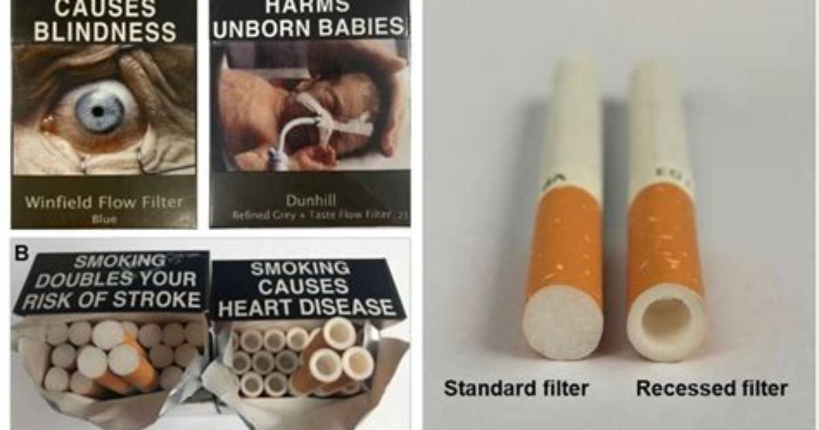 Do Cigarette Filters Actually Work?