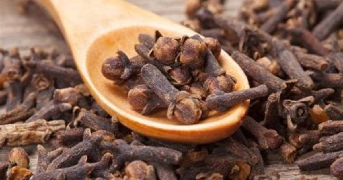 Do Cloves Keep Mice Away