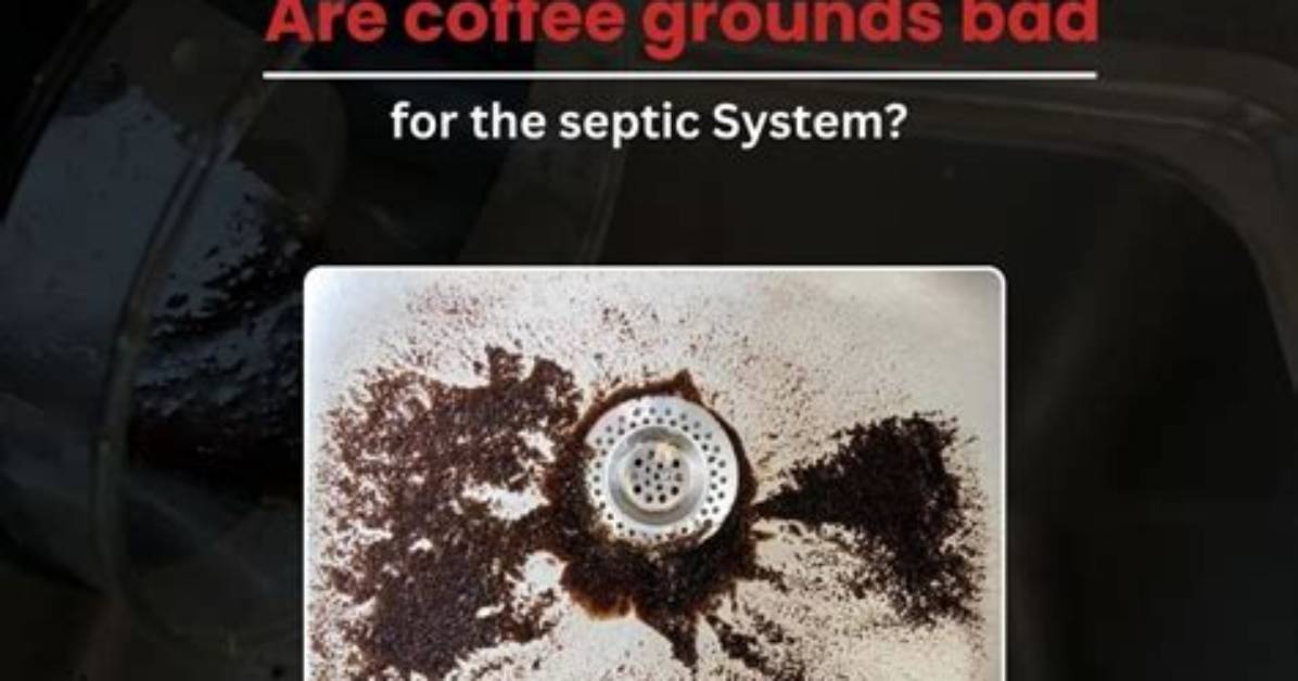 Do Coffee Grounds Decompose in a Septic Tank