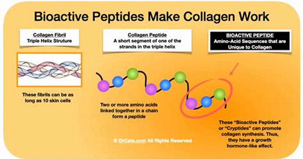Do Collagen Peptides Work?