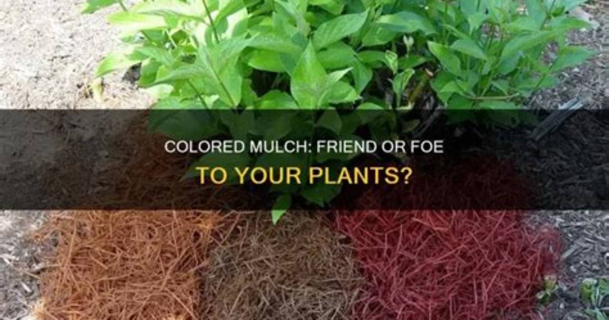 Do Colored Mulch Harm Plants?