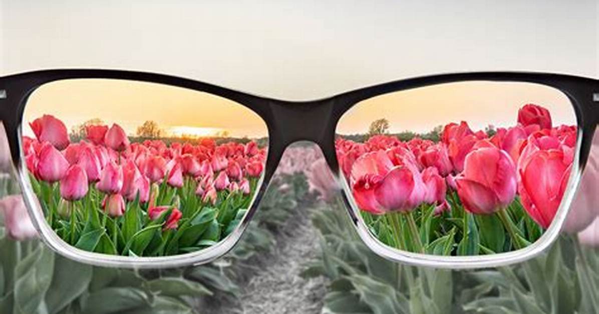 Do Colour Blindness Glasses Work?