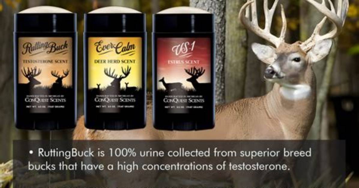 Do Conquest Deer Scents Work?