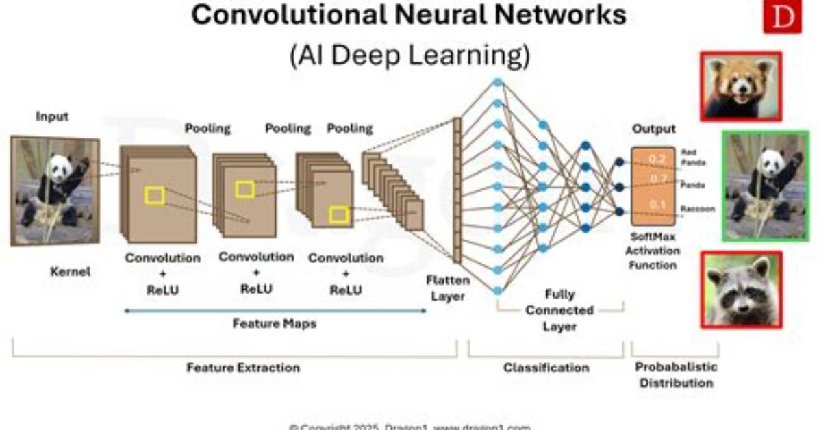 Do Convolutional Neural Network?
