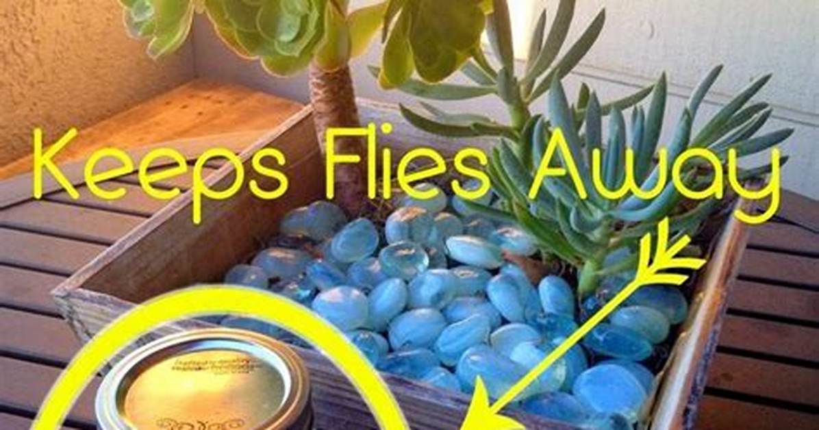 Do Copper Pennies Keep Flies Away?