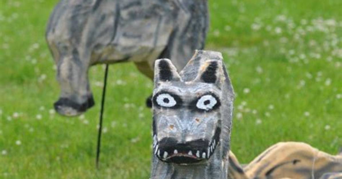 Do Coyote Decoys Really Work?