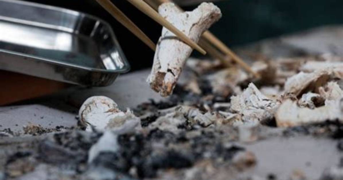 Do Cremains Have Dna?
